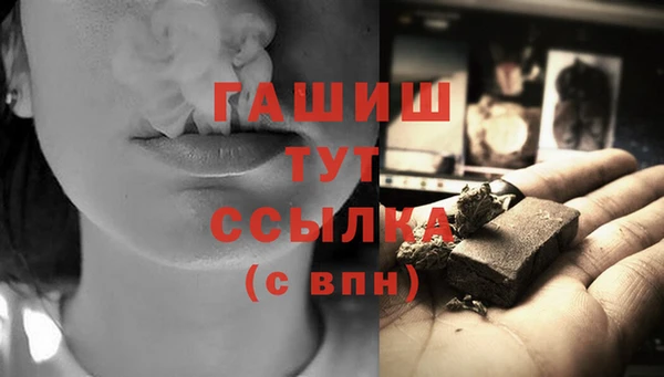 гидра Переславль-Залесский