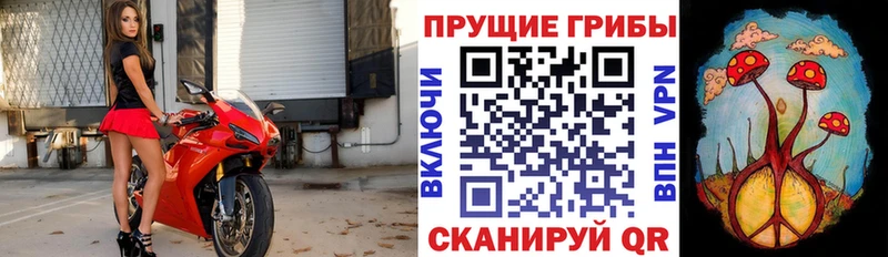 MEGA ссылки  закладки  Джанкой  Псилоцибиновые грибы Psilocybe 